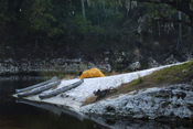 Camping on the Suwannee
