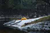 Camping on the Suwannee