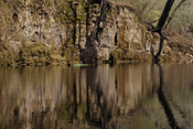 Limestone Reflections I