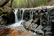 Robinson Branch Falls I
