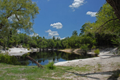 Suwannee River at Swift Creek