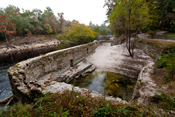 Suwannee Springs Fall II