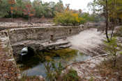 Suwannee Springs Fall III