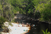 Swimming on the Suwannee