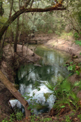 Yana Springs at Lafayette Blue State Park II